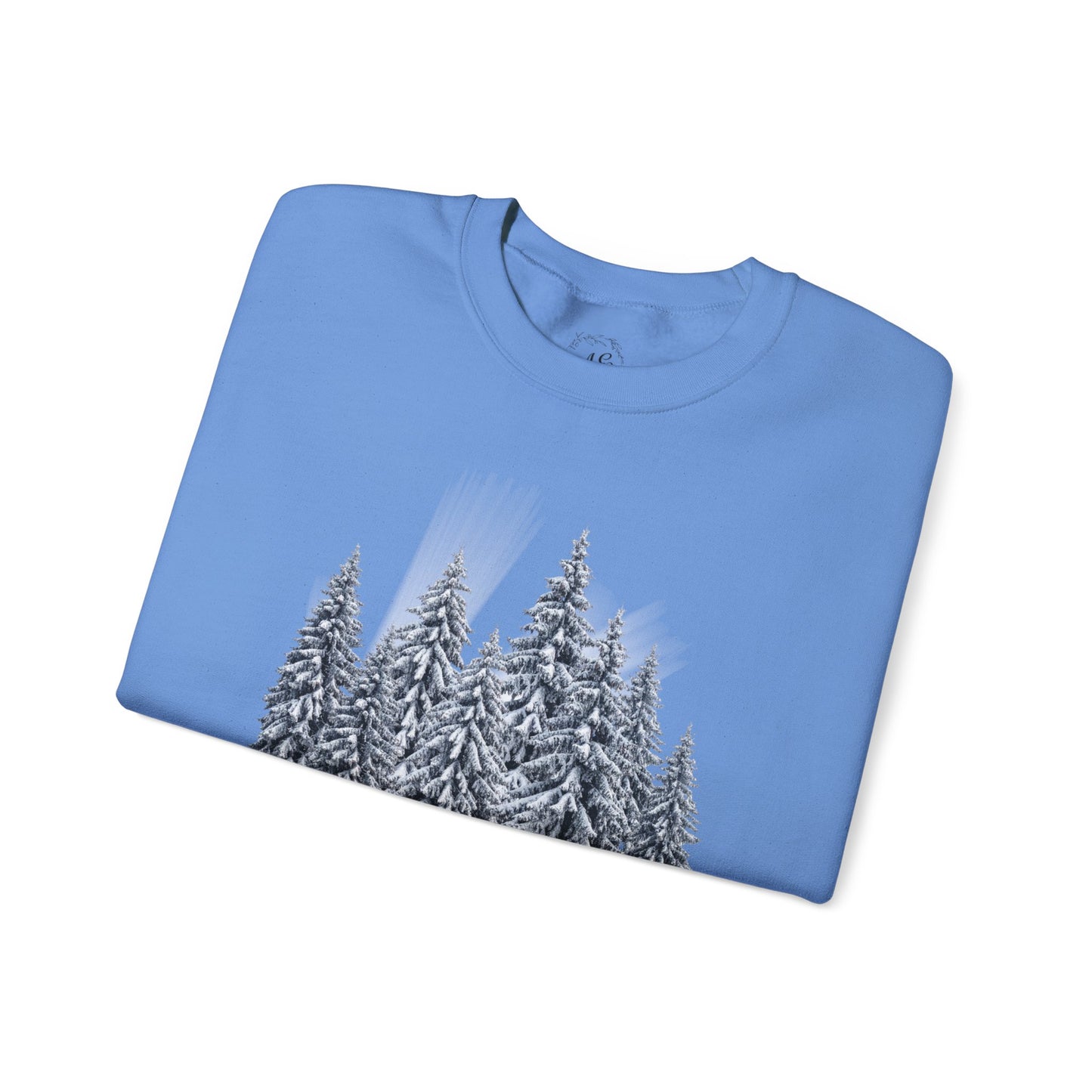 Light Has Come Crewneck Sweatshirt